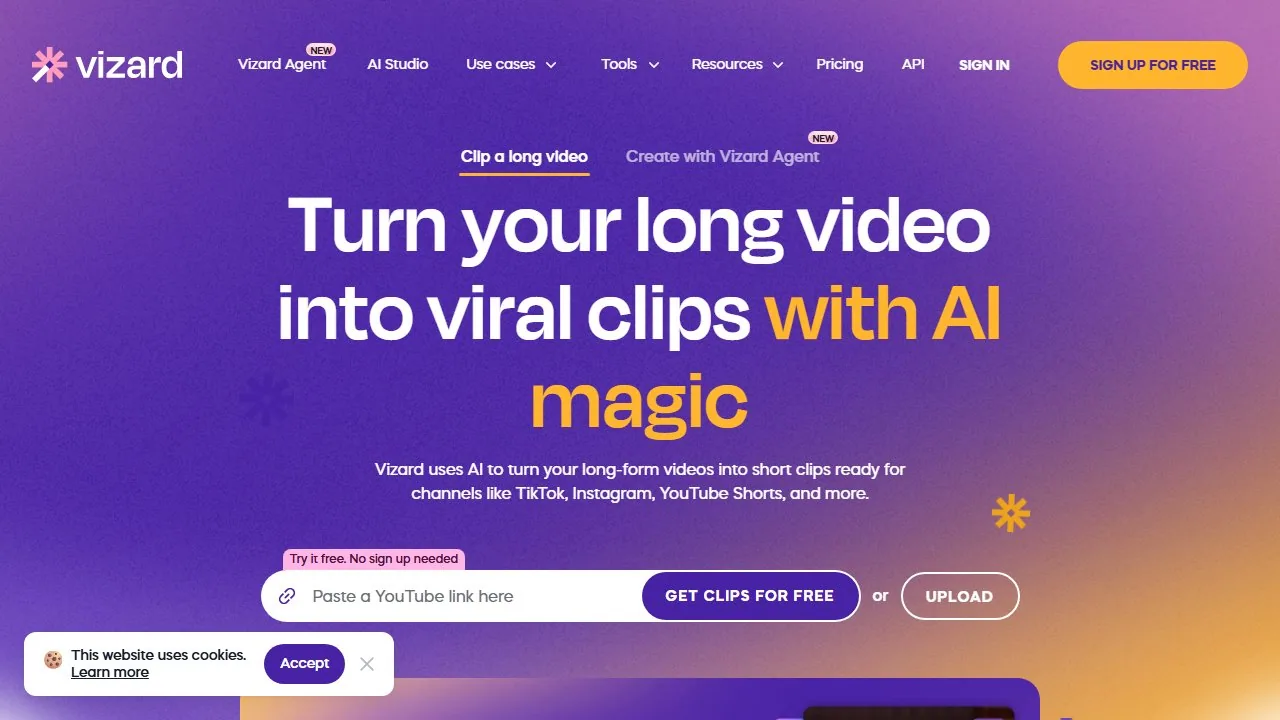 Vizard