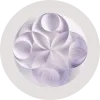 Watsonx.ai