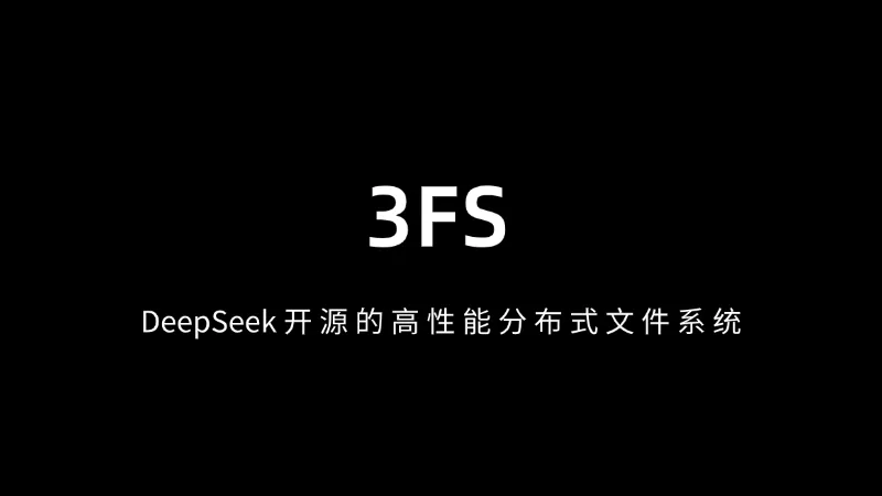 3FS